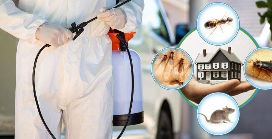 Bayraklı Böcek İlaçlama