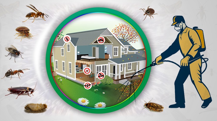 Bayraklı Böcek İlaçlama