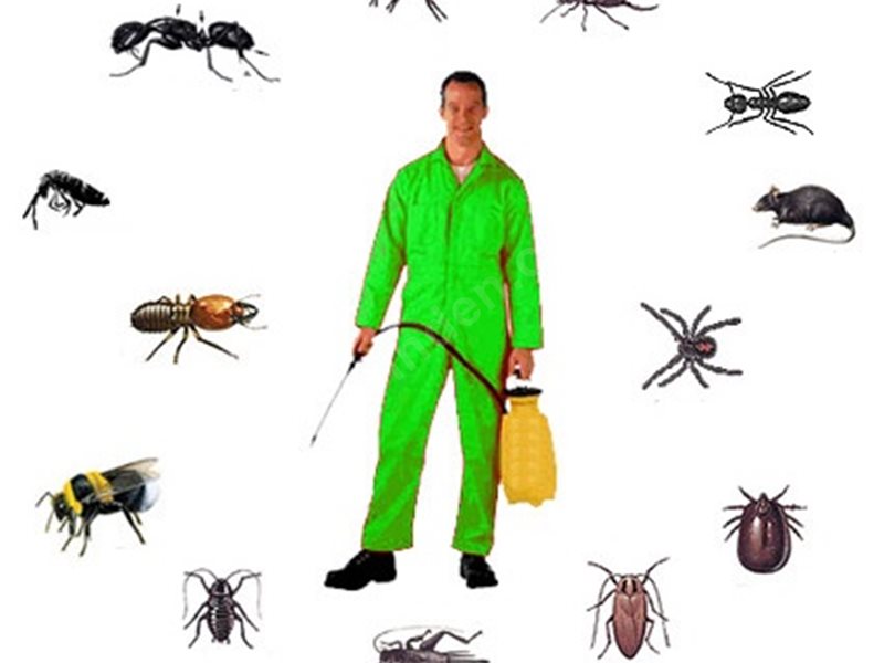 Bayraklı Böcek İlaçlama